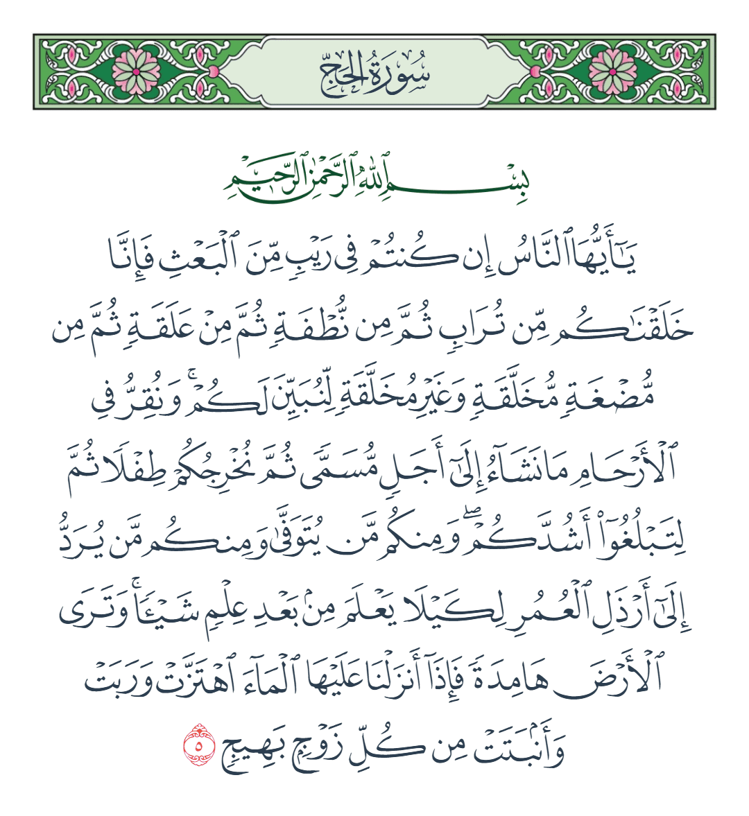  سورة الحج الآية رقم 5