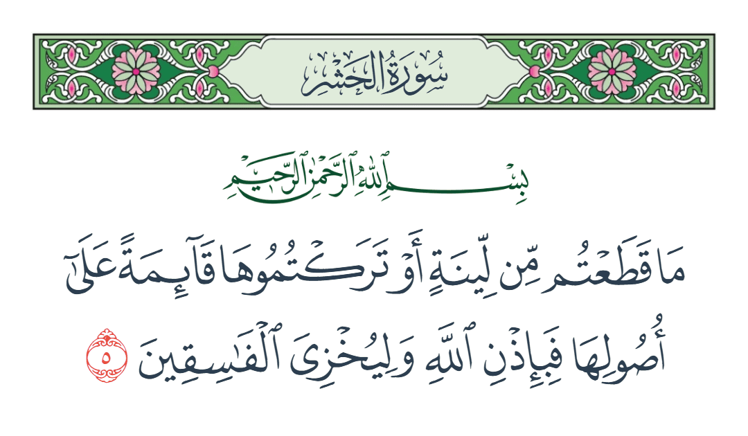  سورة الحشر الآية رقم 5