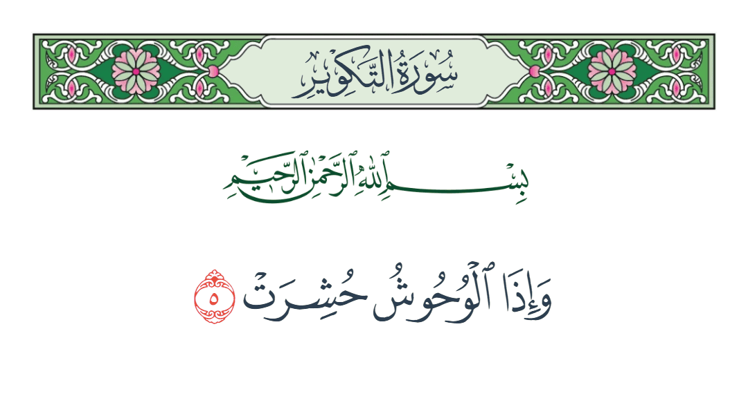  سورة التكوير الآية رقم 5