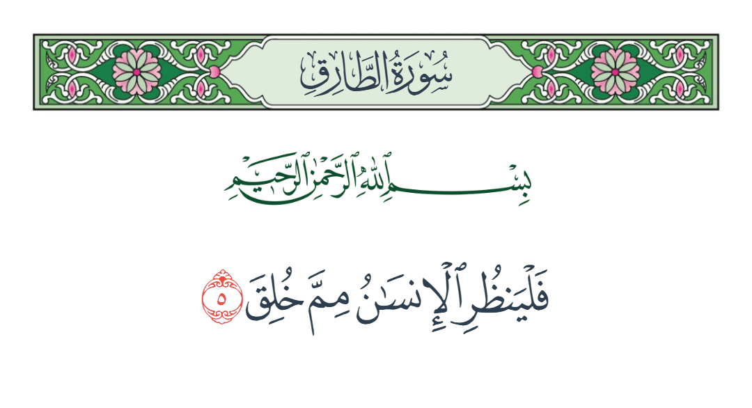  سورة الطارق الآية رقم 5