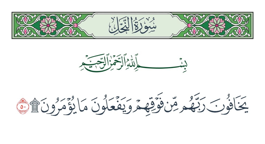  سورة النحل الآية رقم 50