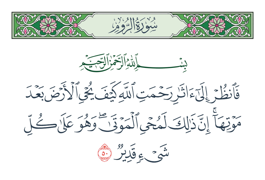  سورة الروم الآية رقم 50