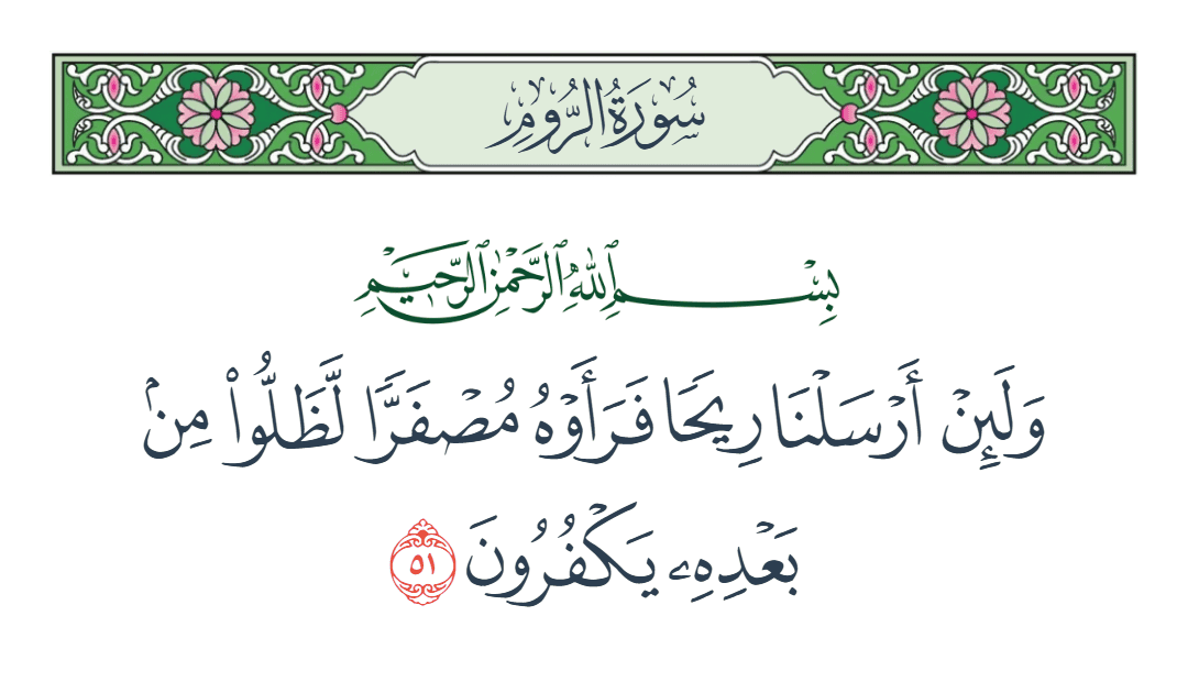  سورة الروم الآية رقم 51