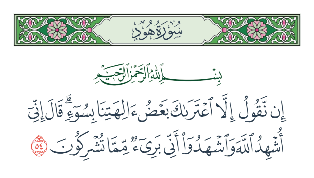  سورة هود الآية رقم 54