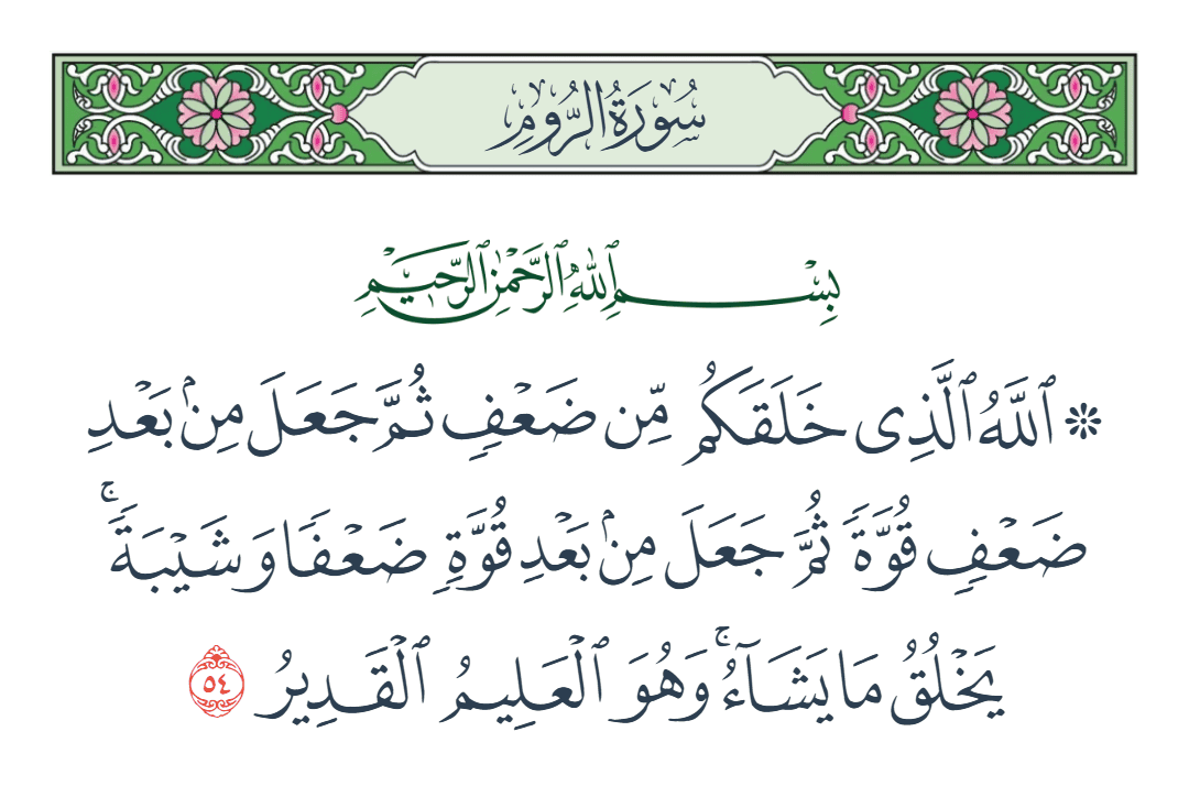  سورة الروم الآية رقم 54