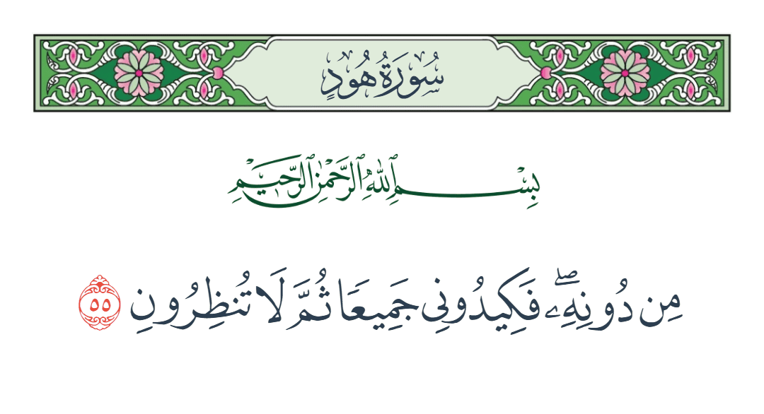  سورة هود الآية رقم 55