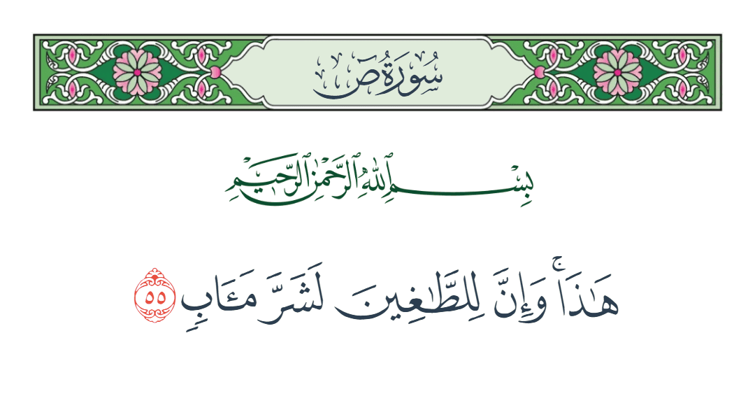 سورة ص الآية رقم 55