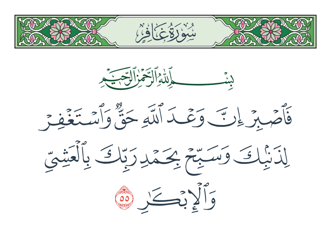  سورة غافر الآية رقم 55