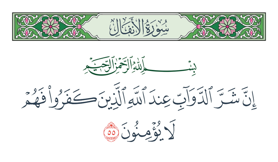  سورة الأنفال الآية رقم 55