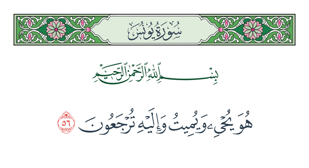  سورة يونس الآية رقم 56