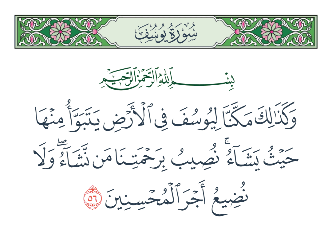  سورة يوسف الآية رقم 56
