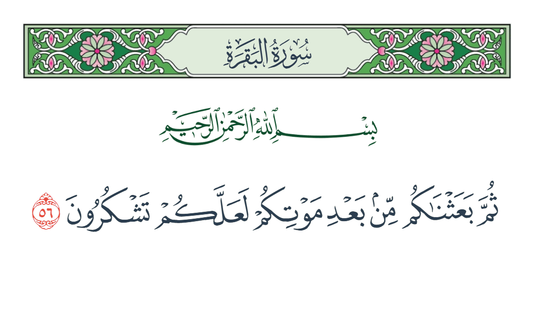  سورة البقرة الآية رقم 56