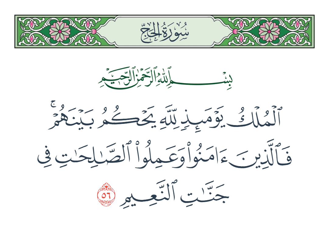  سورة الحج الآية رقم 56