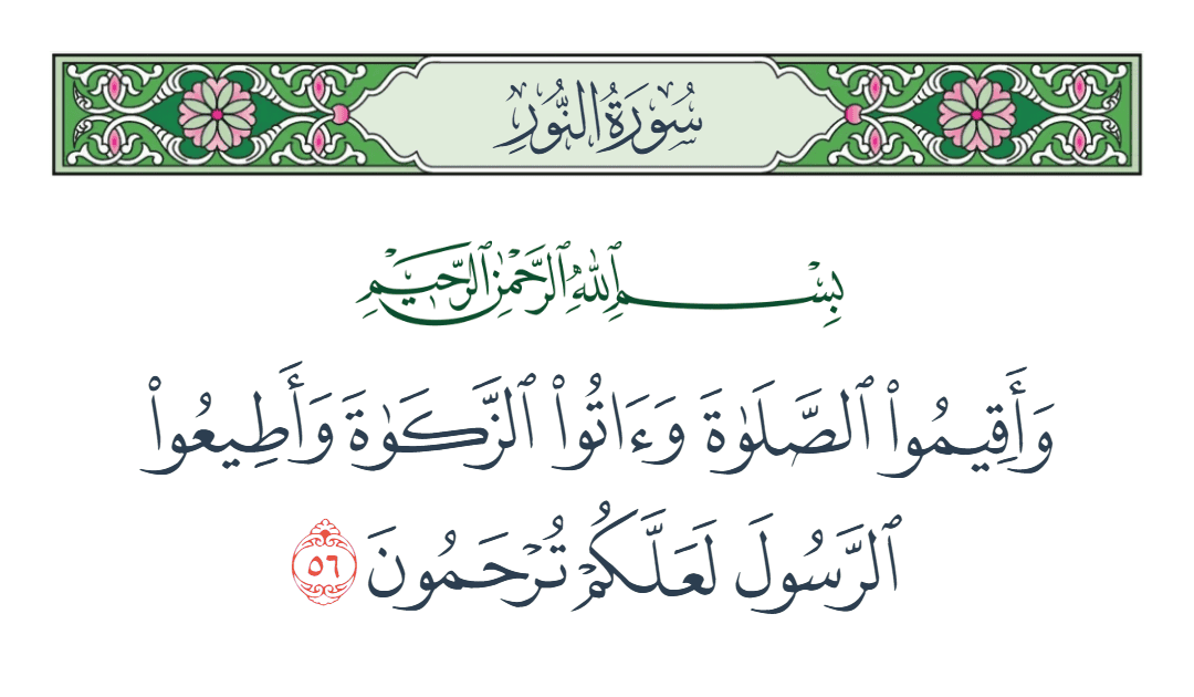  سورة النور الآية رقم 56