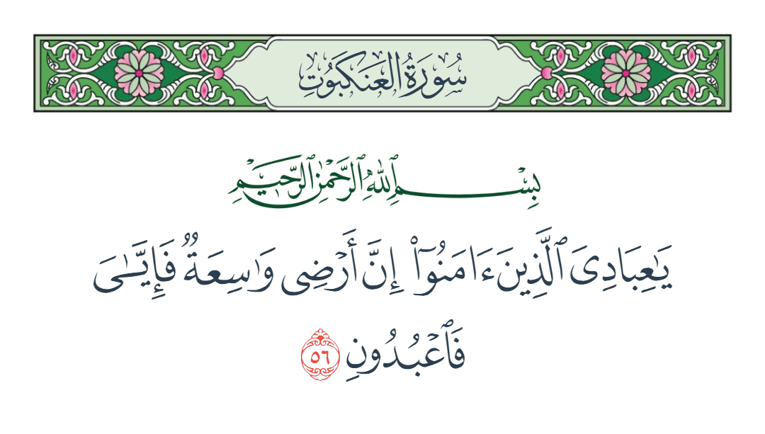  سورة العنكبوت الآية رقم 56