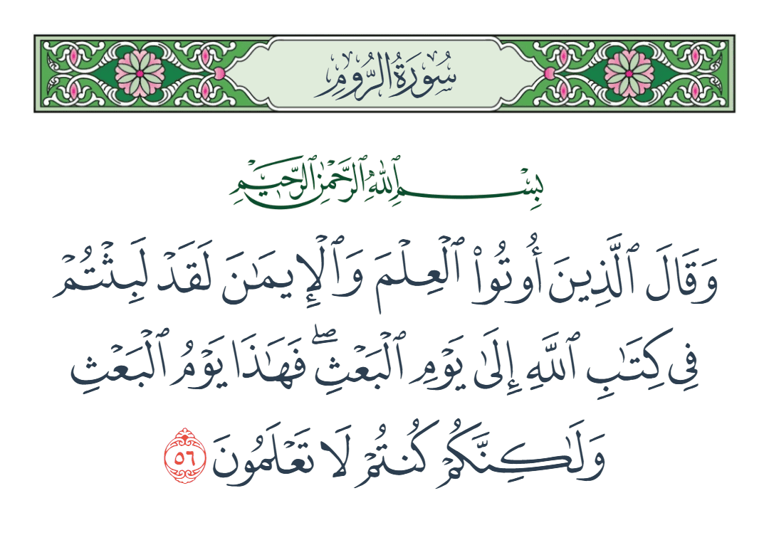  سورة الروم الآية رقم 56
