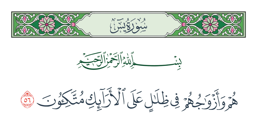  سورة يس الآية رقم 56