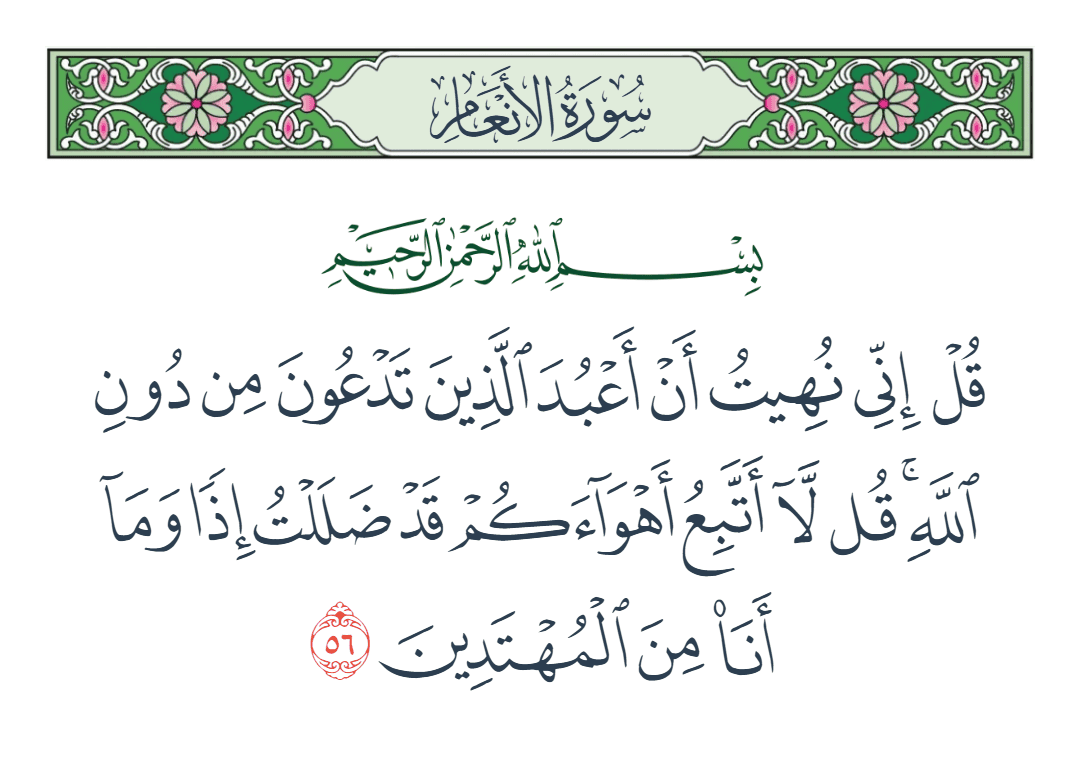  سورة الأنعام الآية رقم 56