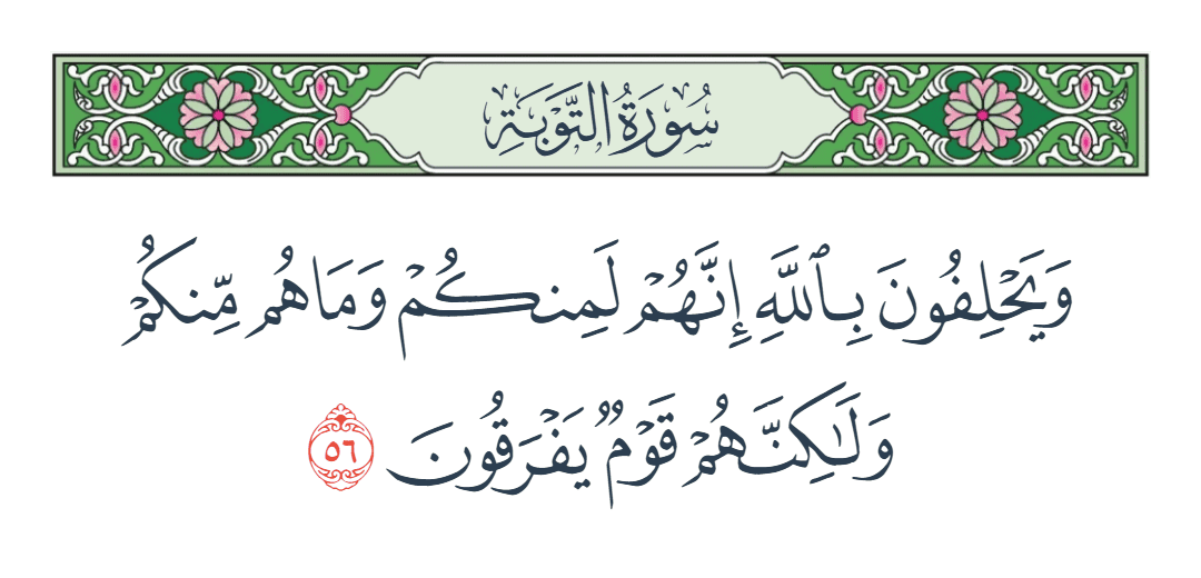  سورة التوبة الآية رقم 56