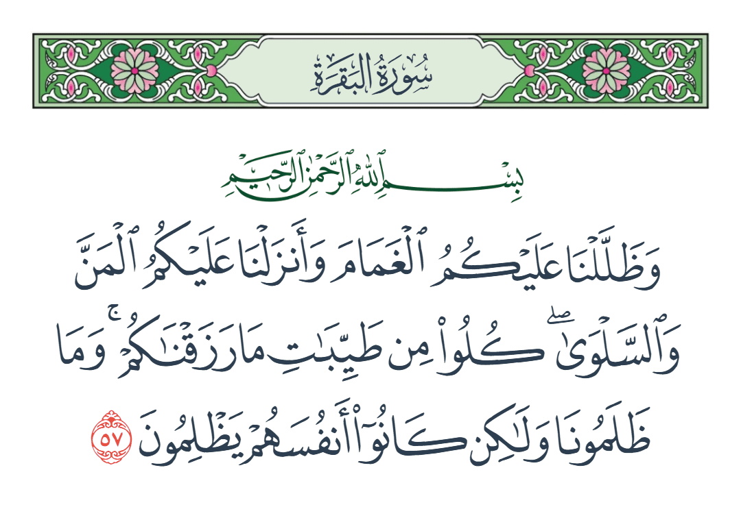  سورة البقرة الآية رقم 57