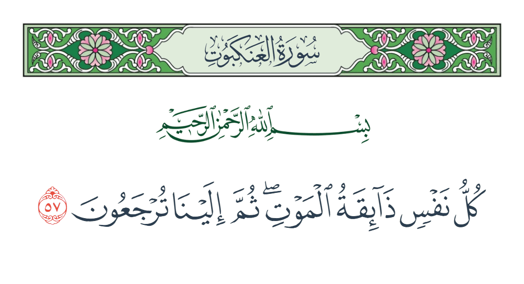  سورة العنكبوت الآية رقم 57