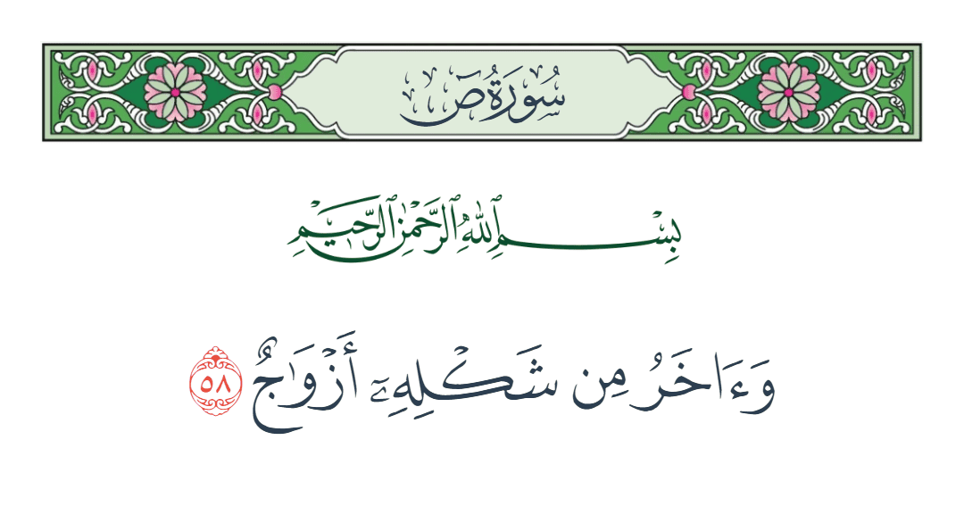  سورة ص الآية رقم 58