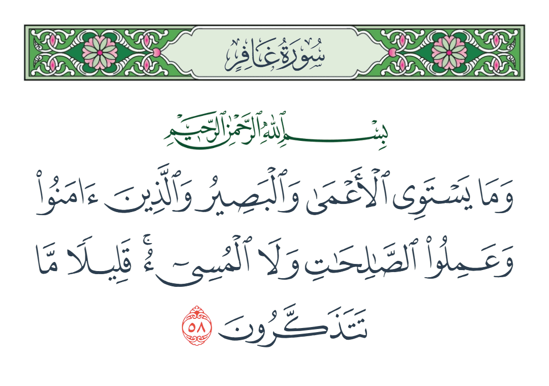 سورة غافر الآية رقم 58