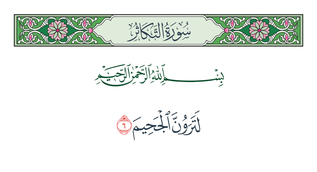 سورة التكاثر الآية رقم 6