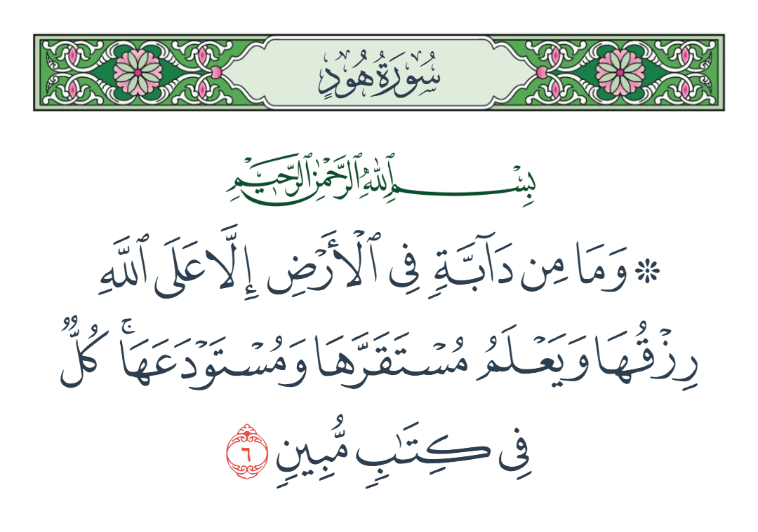  سورة هود الآية رقم 6