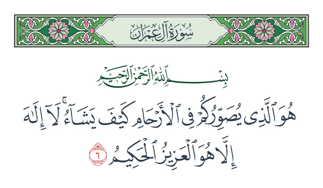  سورة آل عمران الآية رقم 6