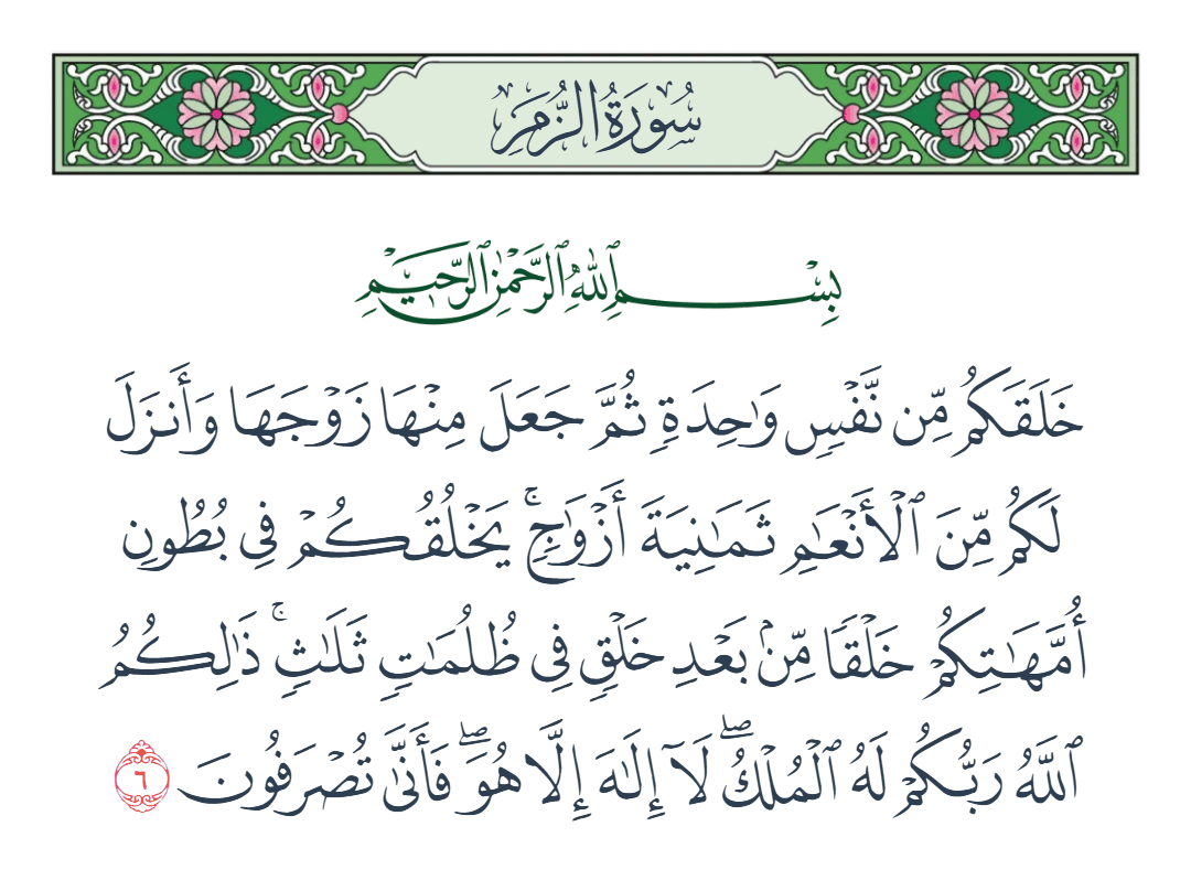  سورة الزمر الآية رقم 6