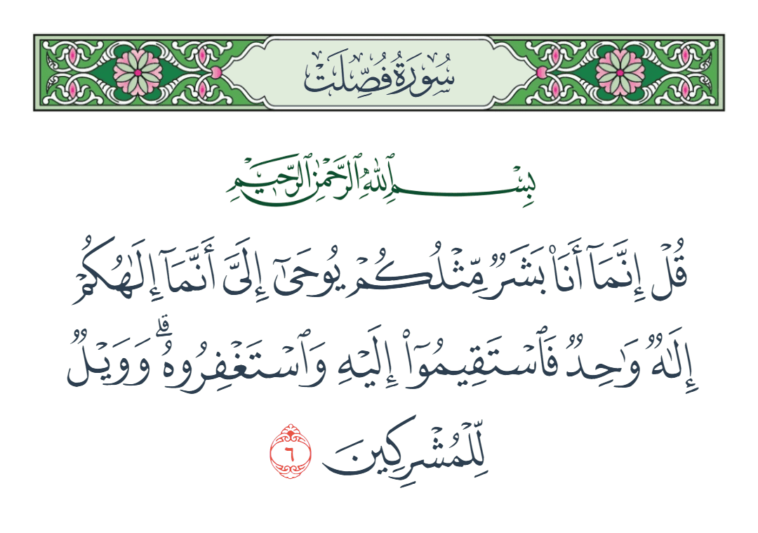  سورة فصلت الآية رقم 6