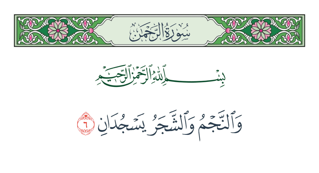  سورة الرحمن الآية رقم 6
