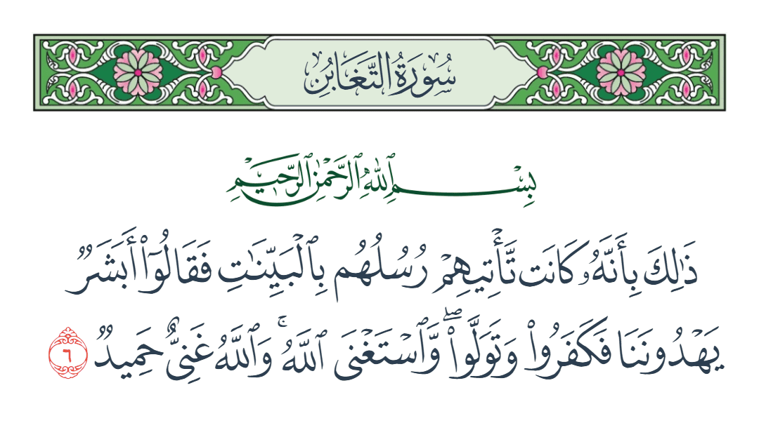  سورة التغابن الآية رقم 6