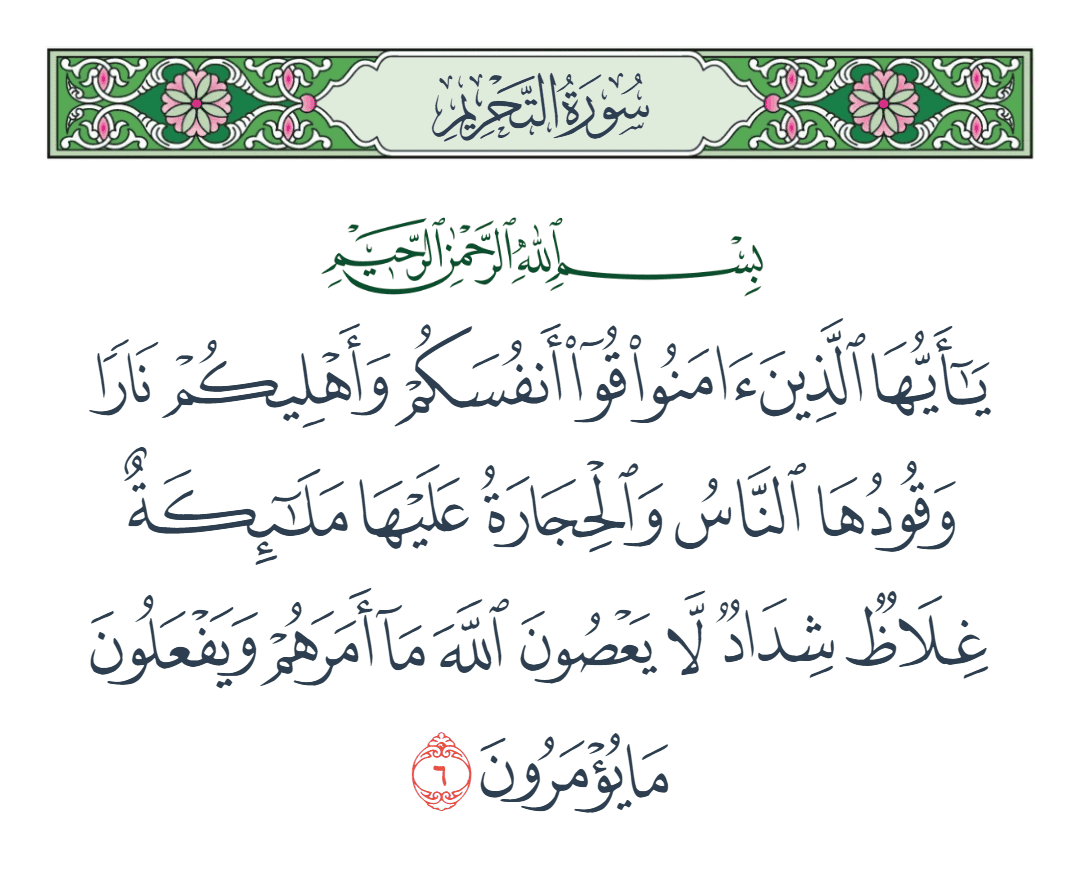  سورة التحريم الآية رقم 6