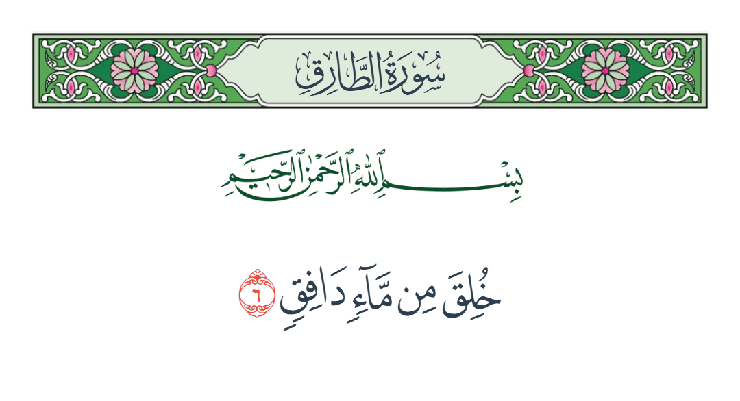  سورة الطارق الآية رقم 6