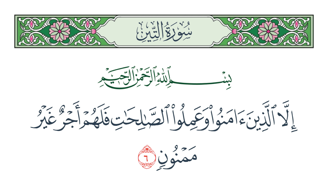  سورة التين الآية رقم 6