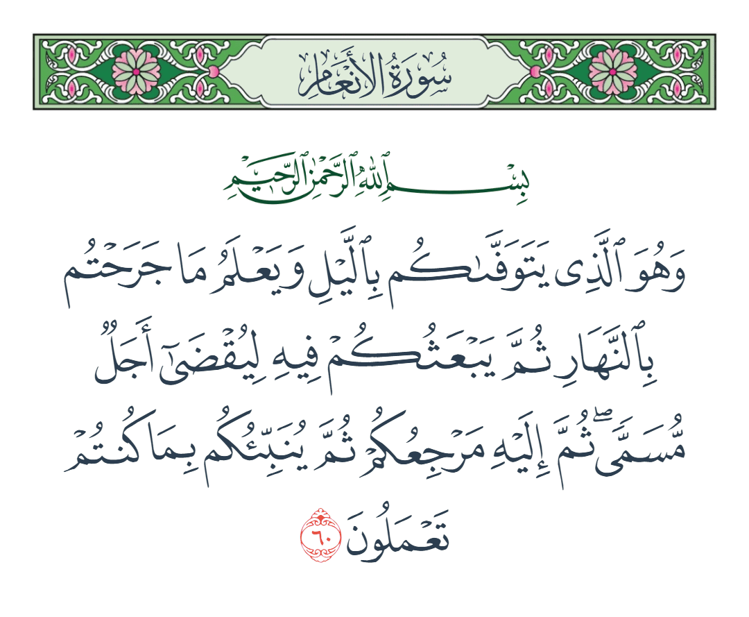  سورة الأنعام الآية رقم 60