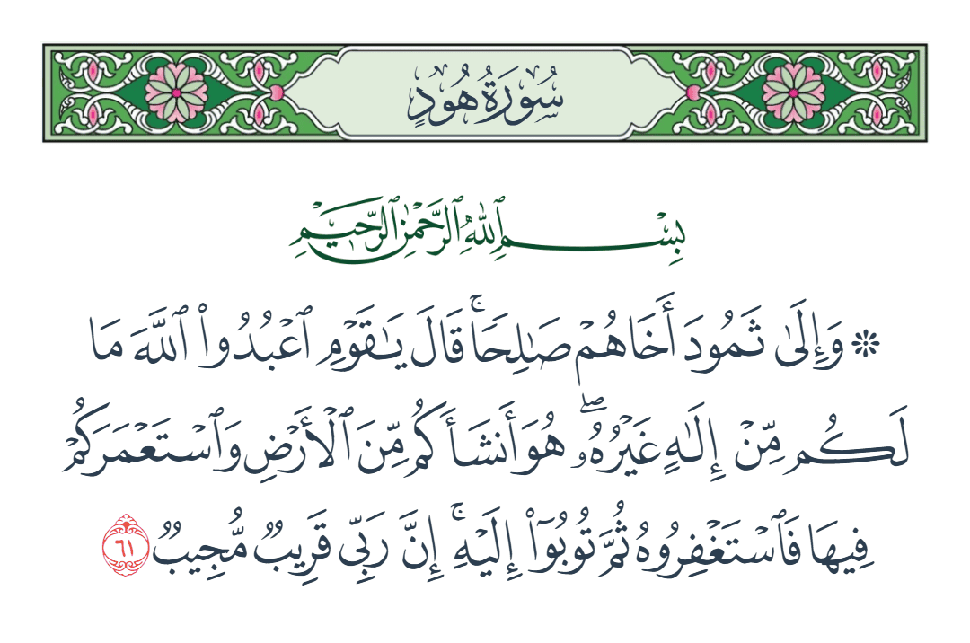  سورة هود الآية رقم 61