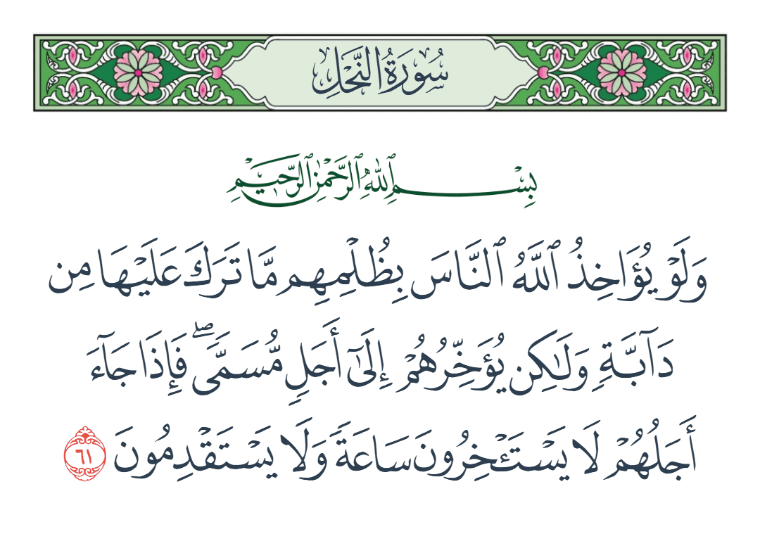  سورة النحل الآية رقم 61