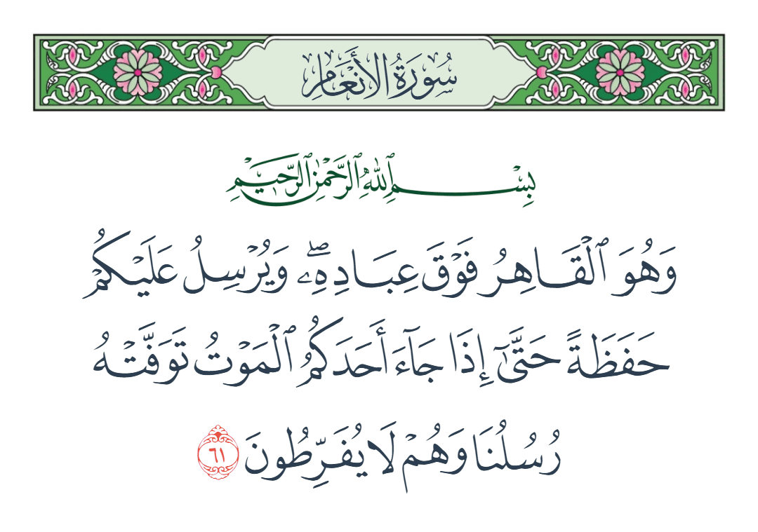  سورة الأنعام الآية رقم 61