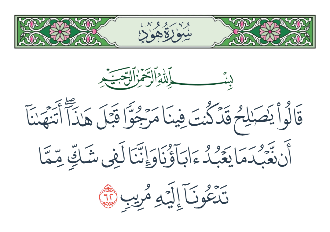  سورة هود الآية رقم 62