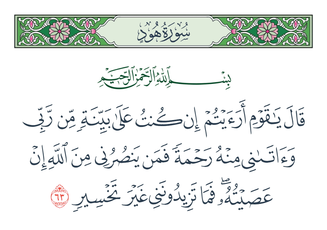  سورة هود الآية رقم 63