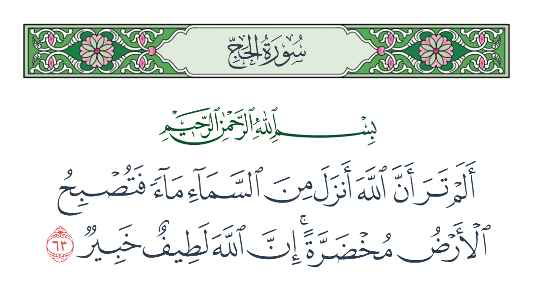 سورة الحج الآية رقم 63