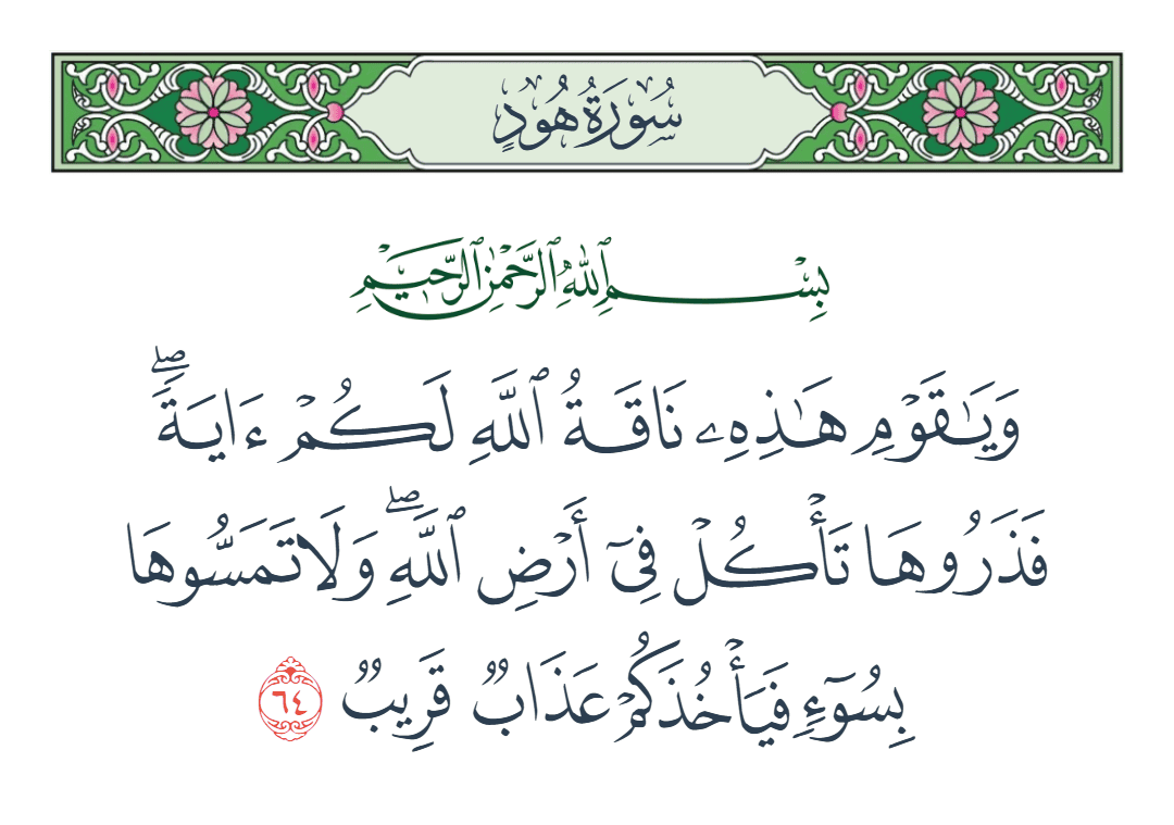  سورة هود الآية رقم 64