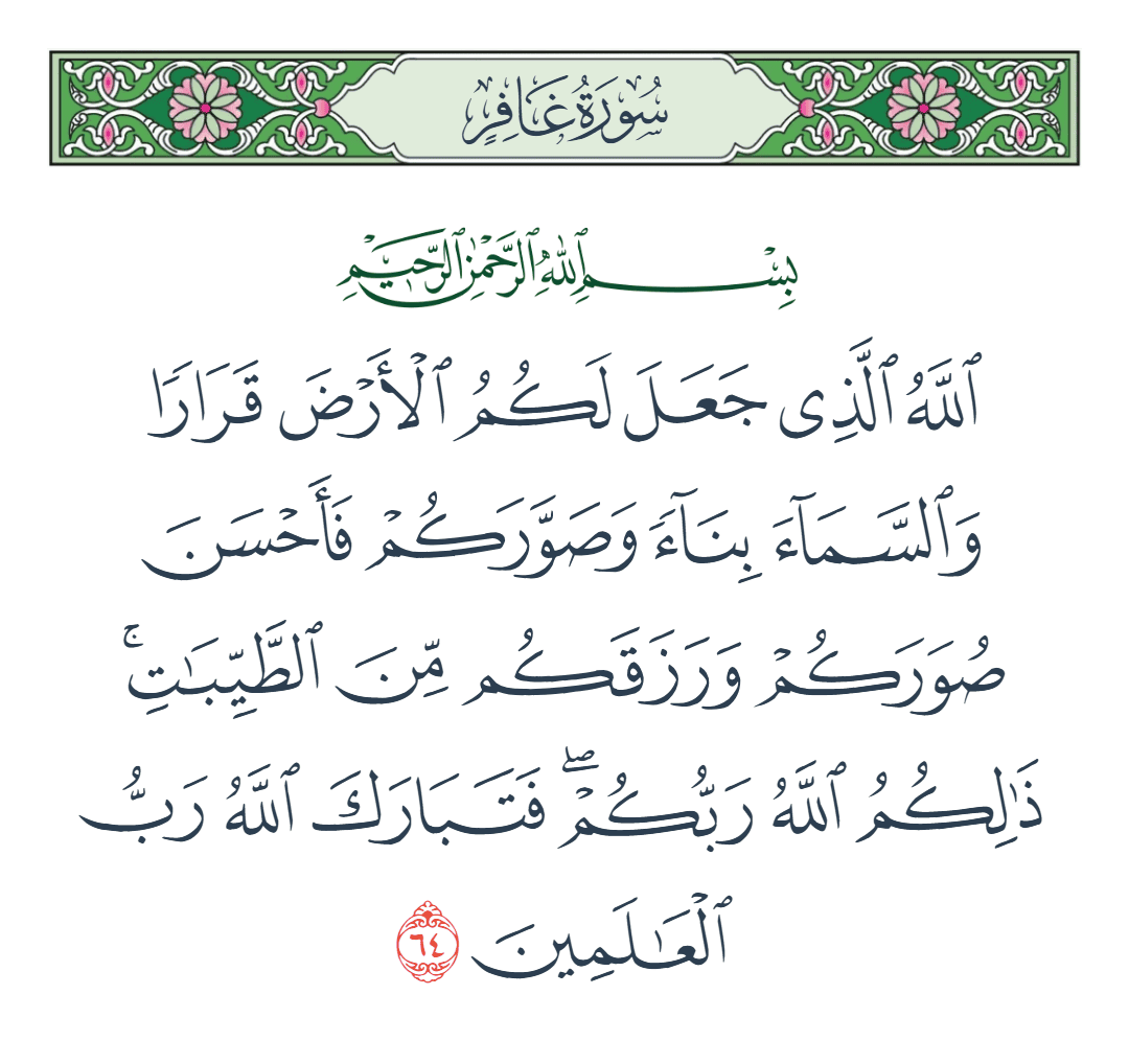  سورة غافر الآية رقم 64