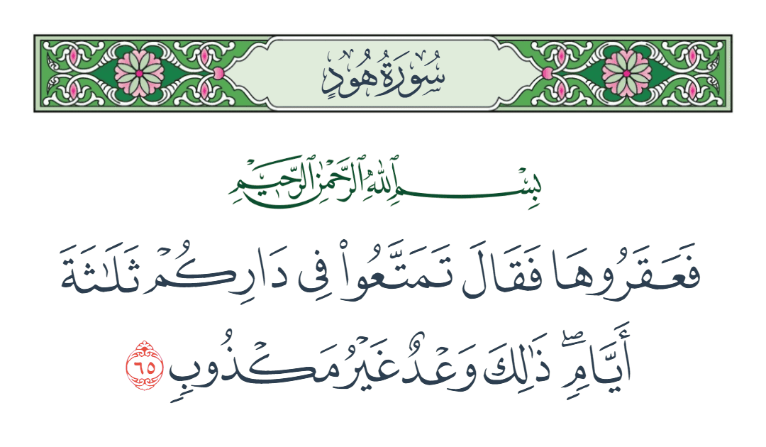  سورة هود الآية رقم 65