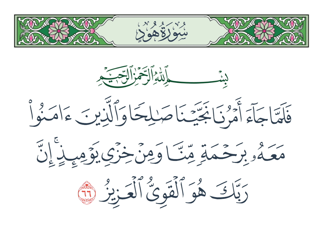  سورة هود الآية رقم 66