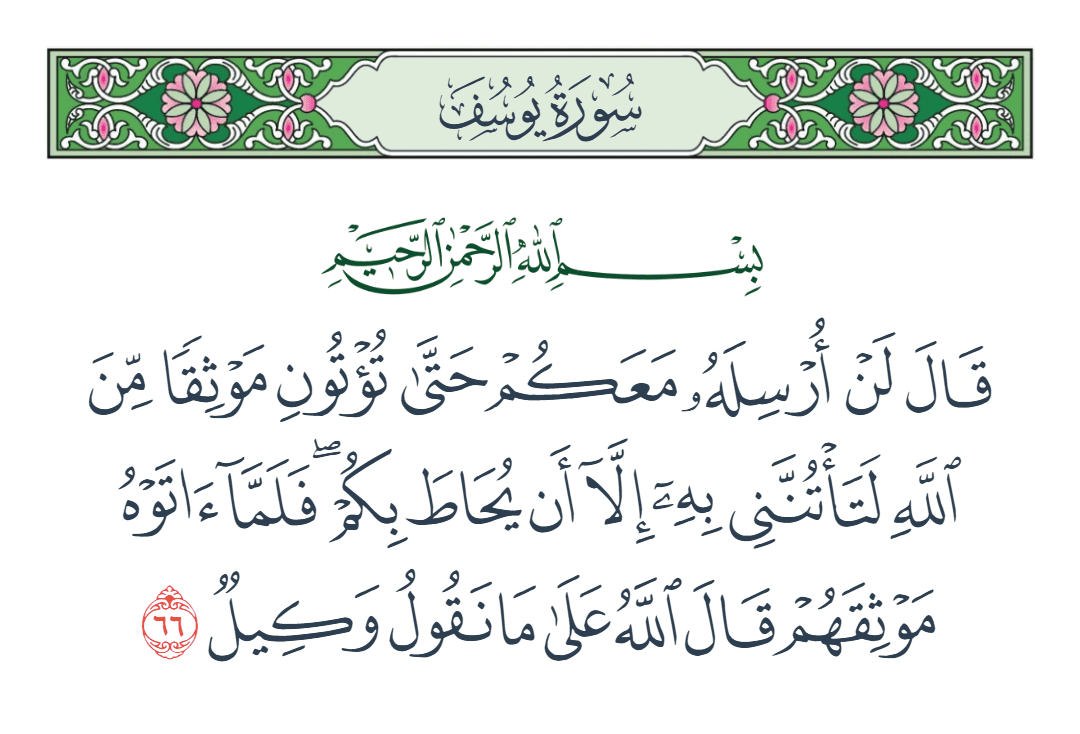  سورة يوسف الآية رقم 66