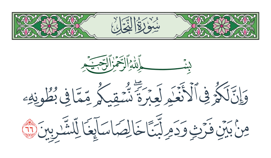  سورة النحل الآية رقم 66